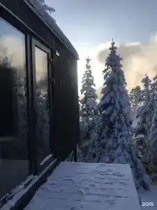 Телецкое Золотое - 55