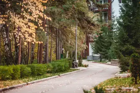 Сибиряк - 80