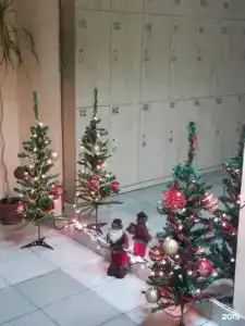Дачный - 0