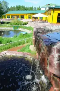 Мечта - 31