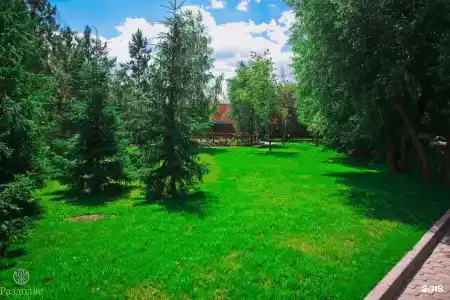 Раздолье - 26