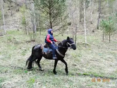 Кемпинг ЦАТ Центр активного туризма - 39