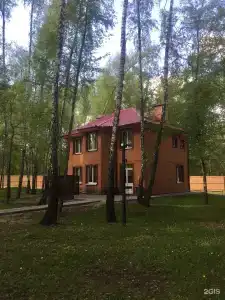 Загородный клуб Айвенго Джунгли - 39