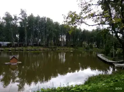 Золотая рыбка - 61