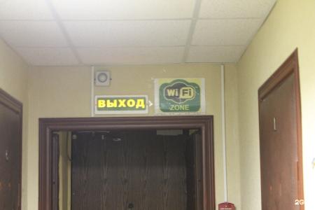 Верба - 12