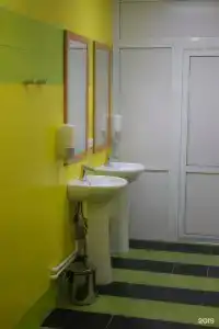 Нарцисс - 137