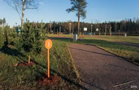 Раздолье - 162