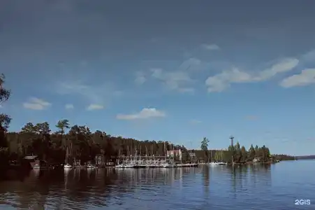 Форелька - 63