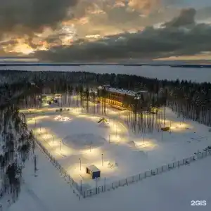 Cosmos Segezha - 79