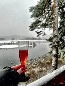 Vyritsa Village - 63