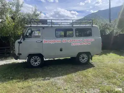 Кедровая роща - 20