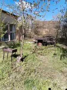 Aki village - 5