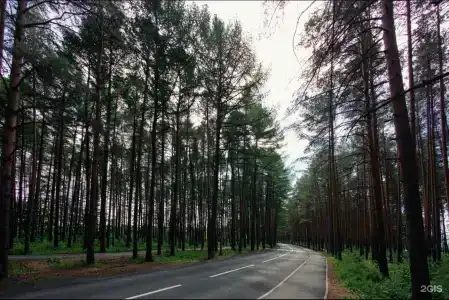 Радуга - 19