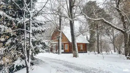 Сосновый бор - 26