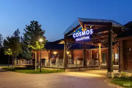Cosmos Collection Izumrudny Les - 2