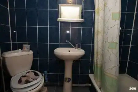 Кедр - 13