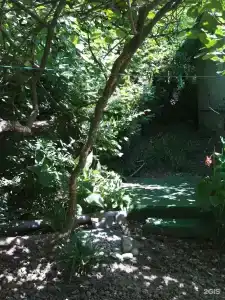 Под пальмой - 25