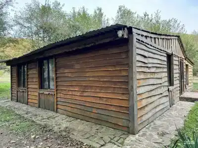 Сытый Кот - 14