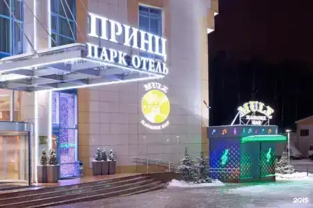 Принц Парк - 94
