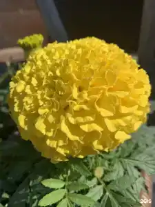 Мелодия Ольхона - 55