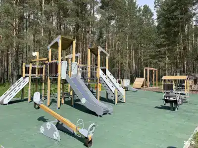 Pinewood resort & SPA - 3
