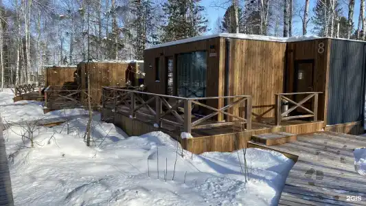 Снежные гуси - 23