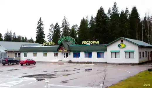 Медведь - 40