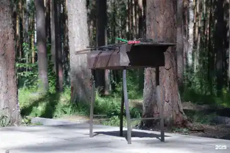 ДухЛес - 122