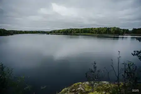 Снегурия - 81