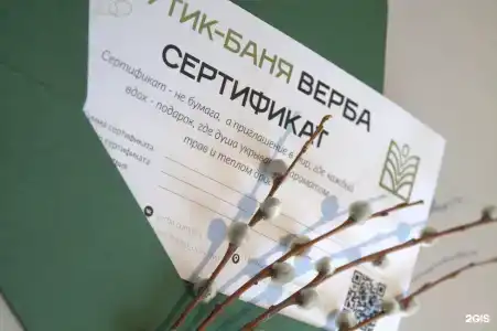Верба - 113