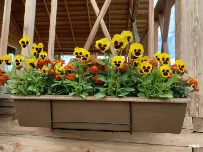 Мелодия Ольхона - 54