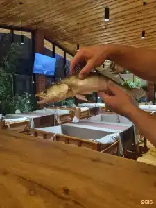Fish Sense - 167