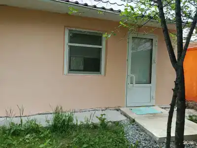 Дубрава - 20