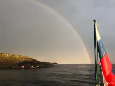 Кедр Грасс Белое Море - 89