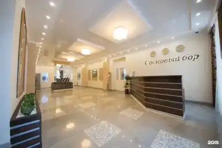 Сосновый Бор - 0