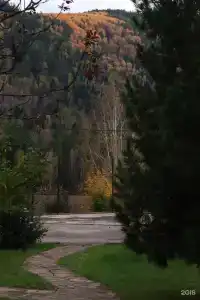 Барбарис - 7