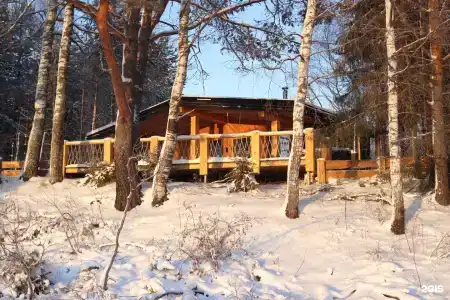 Кедр Глэмп - 69