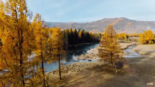 Шале Манул - 24
