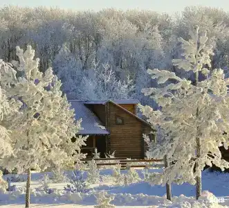 Станица - 11