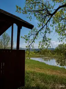 Побеги - 23