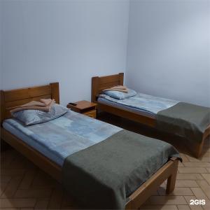 Koral - 15