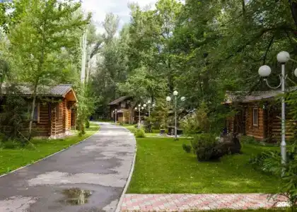 Энергетик - 11