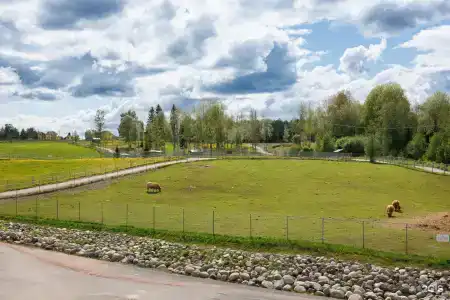 Экогостиница - 46