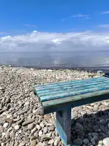 Глэмпинг парк-отель Тэнгис - 20