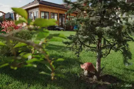 Усадьба Добролюбово - 63