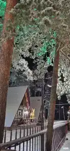 Эко Шале Чегет - 0