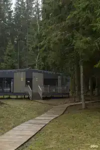 Нешалаши - 42