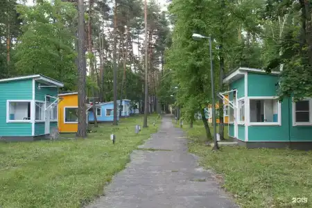 Ежи - 36