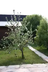 Verba House - 29
