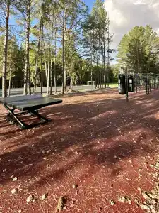 Сосновый бор Ачинск - 54